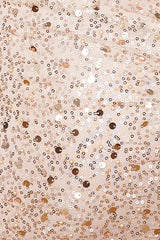 Queen Status Sequin Mini Dress Bronze