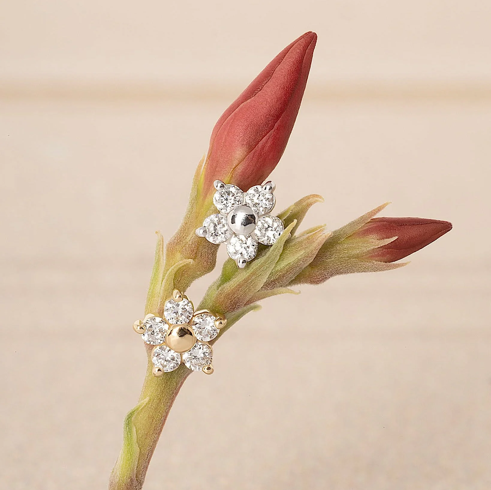 14K Solid Gold Lab Diamond Bloom Flatback Earring