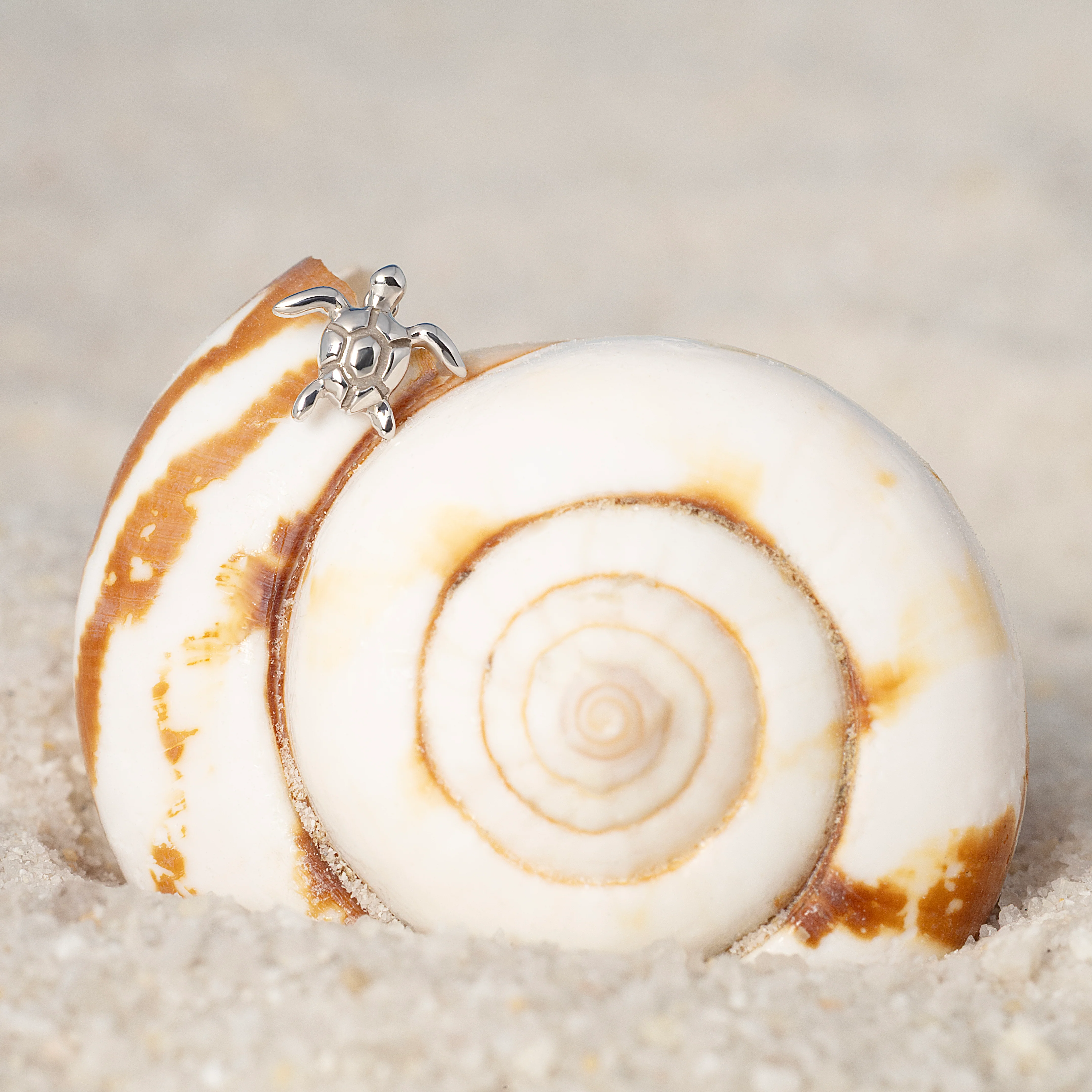 14K Solid Gold Sea Turtle Flatback Earring