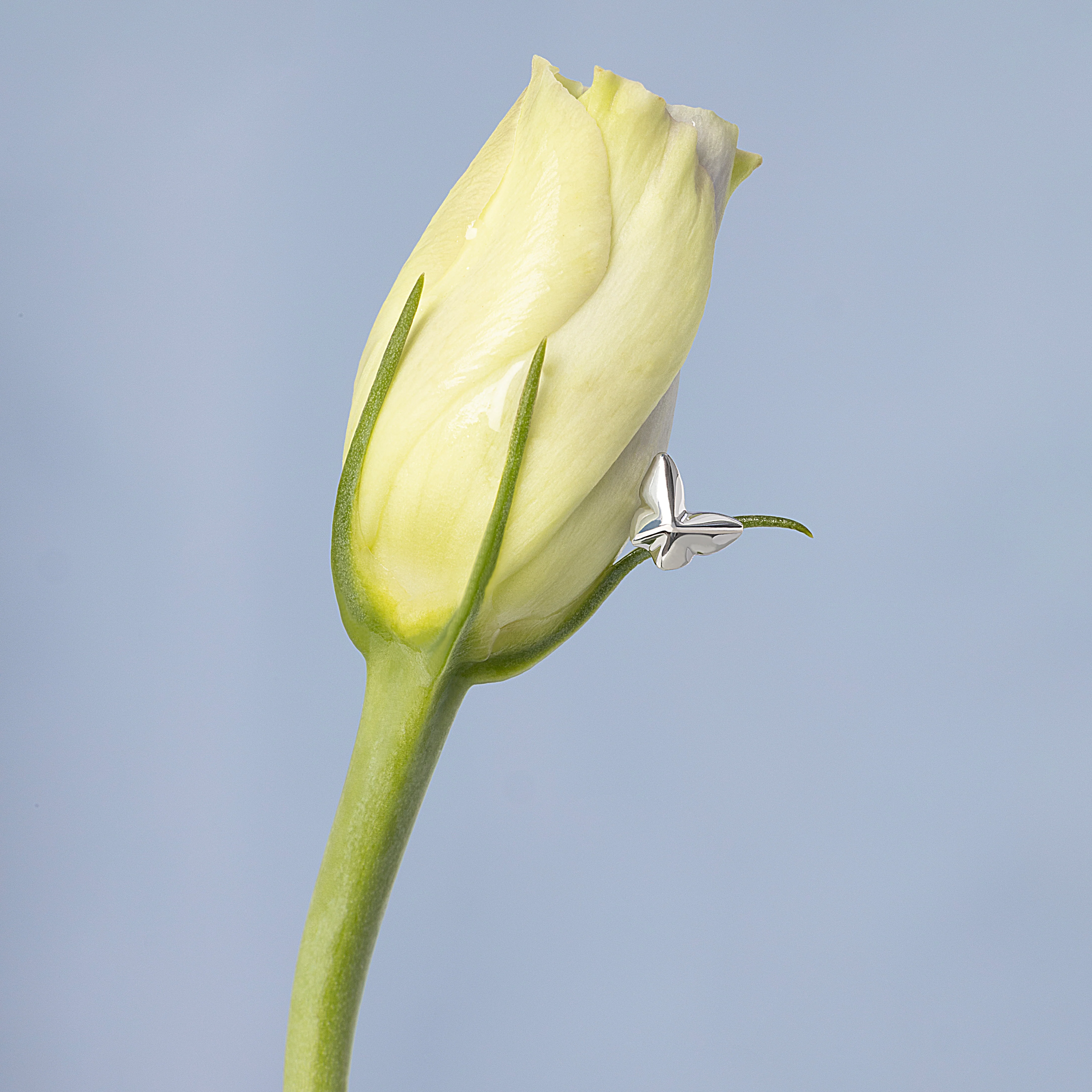 14K Solid Gold Butterfly Pyramid Flatback Earring