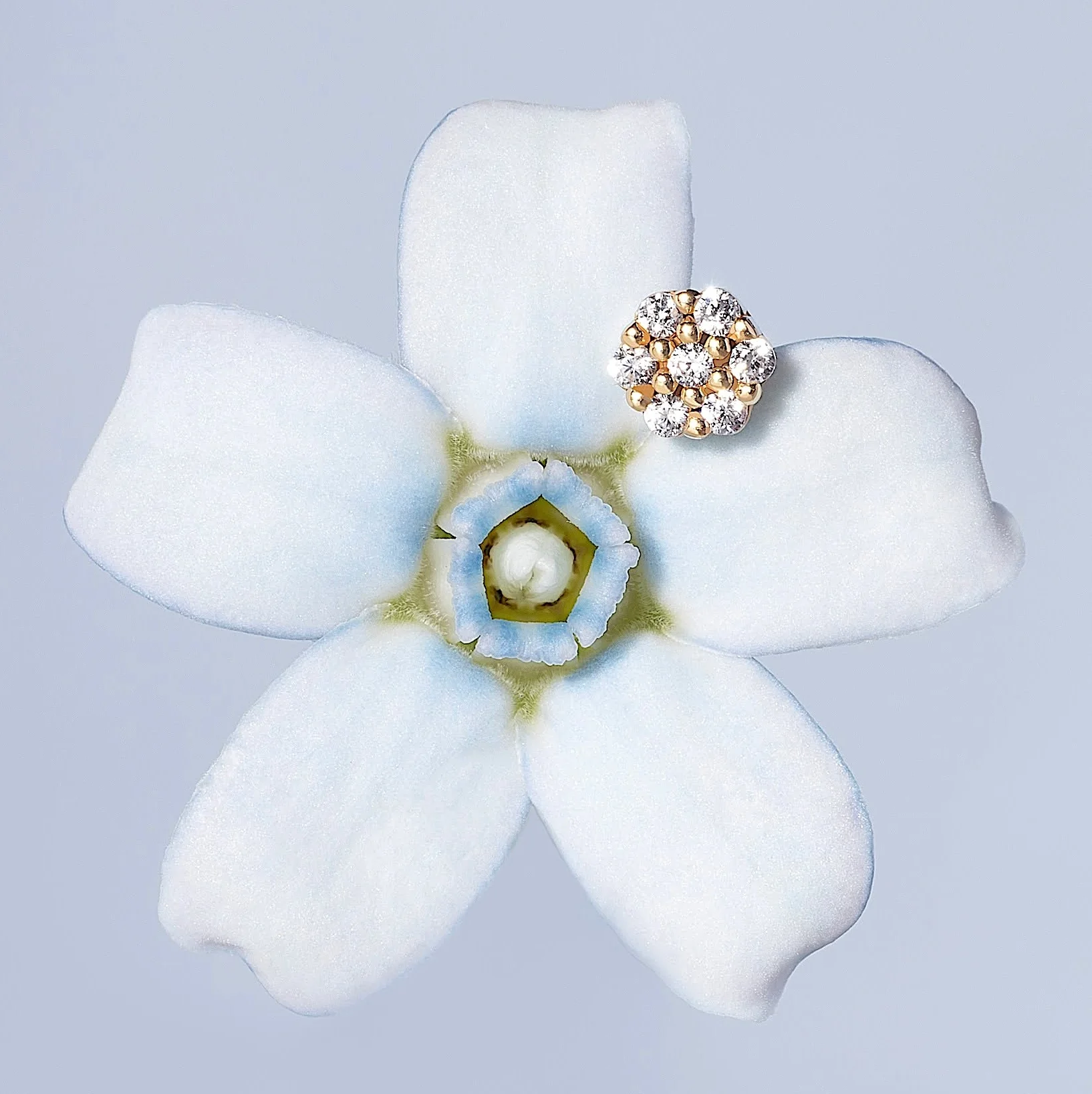 14K Solid Gold Mini Honeycomb Flatback Earring