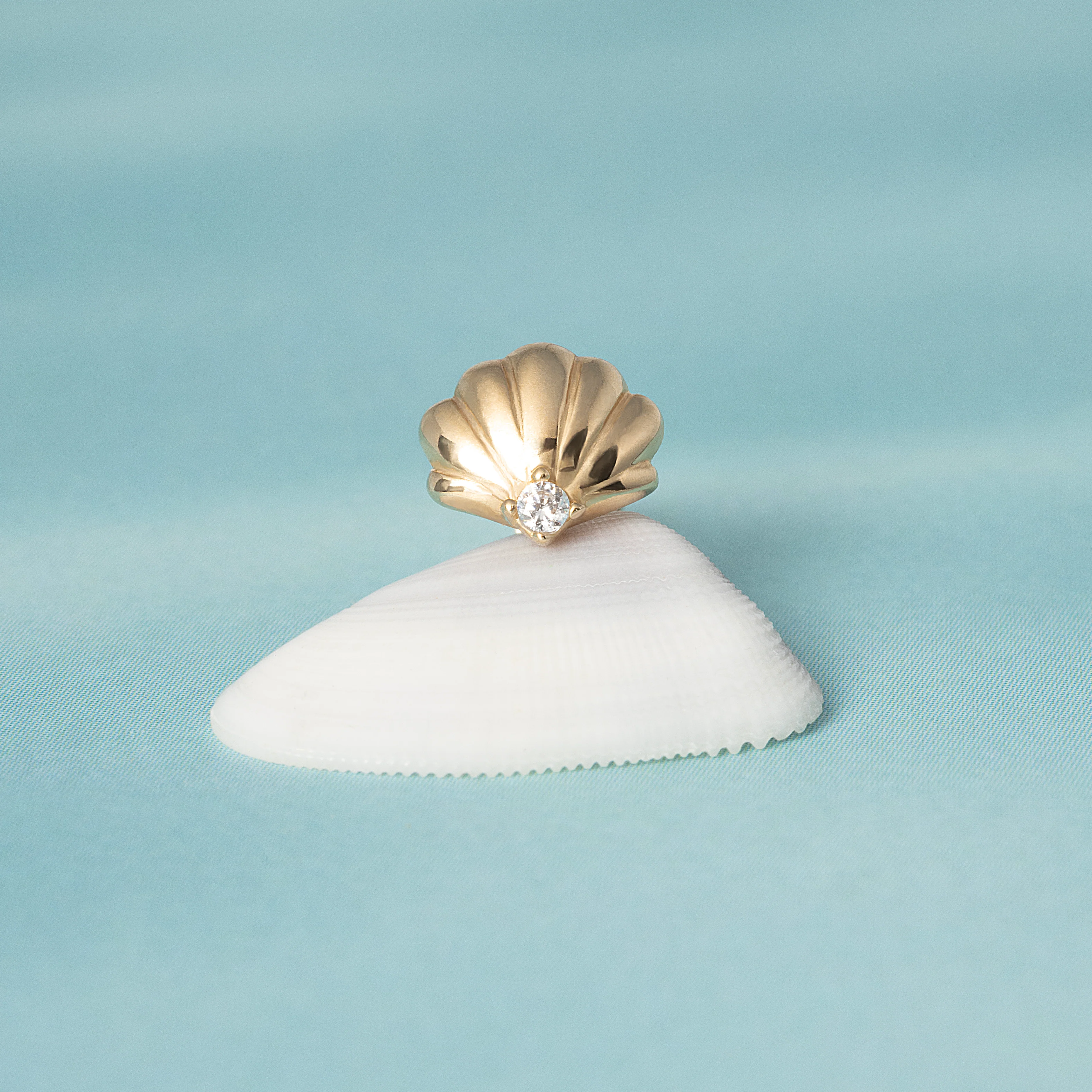 14K Solid Gold Seashell Flatback Earring