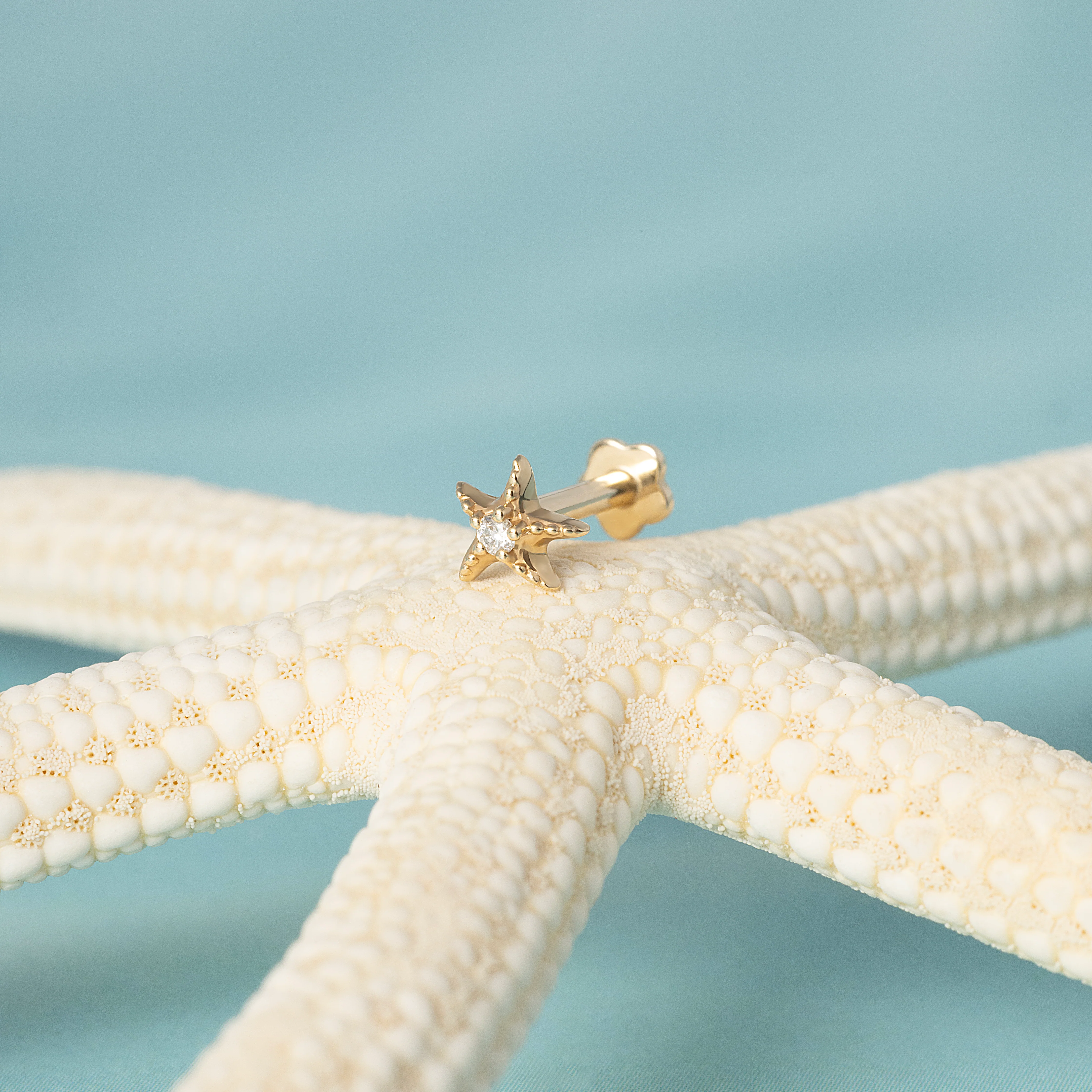 14K Solid Gold Mini Starfish Diamond Flatback Earring