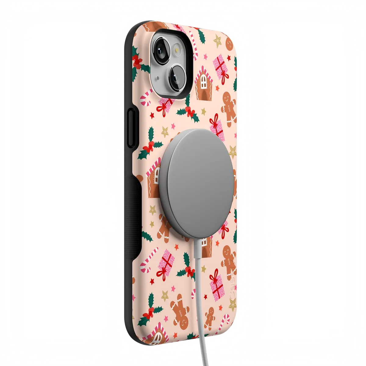 Frosted Wishes | Sweet Treat Case