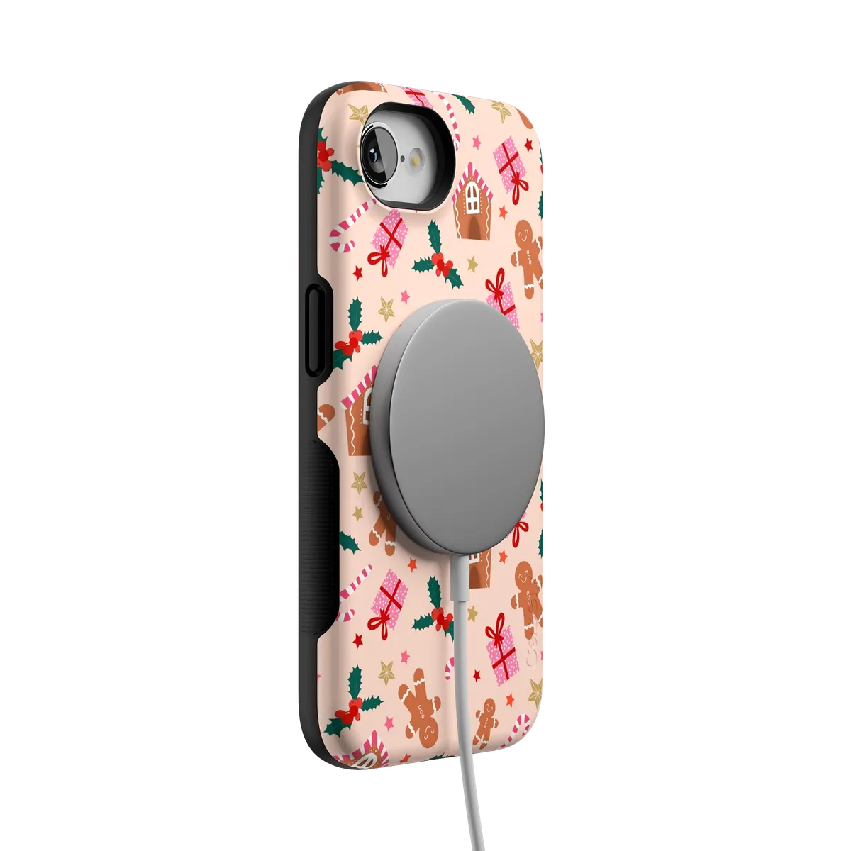 Frosted Wishes | Sweet Treat Case