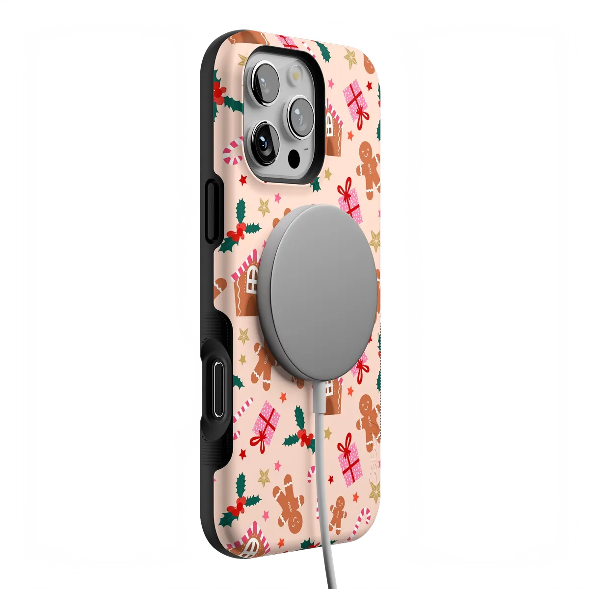 Frosted Wishes | Sweet Treat Case