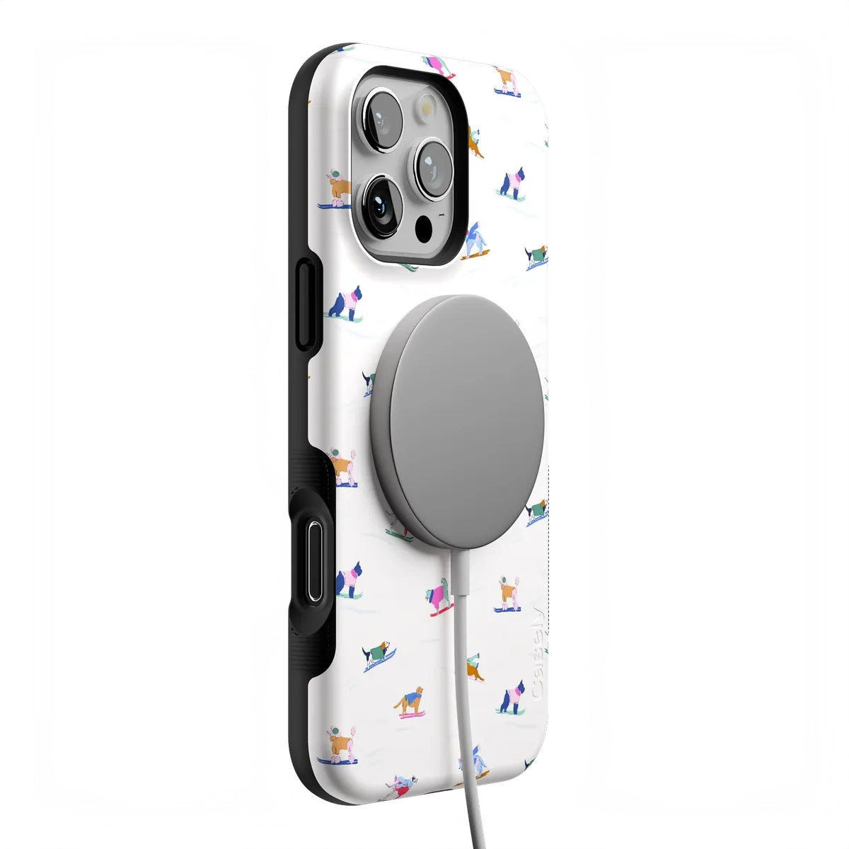 Powder Pups | Dog Sled Case