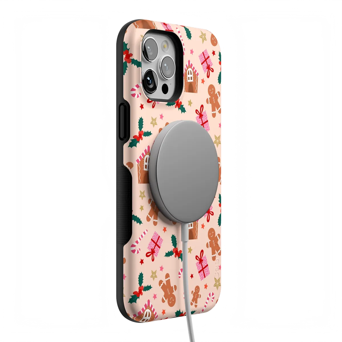 Frosted Wishes | Sweet Treat Case